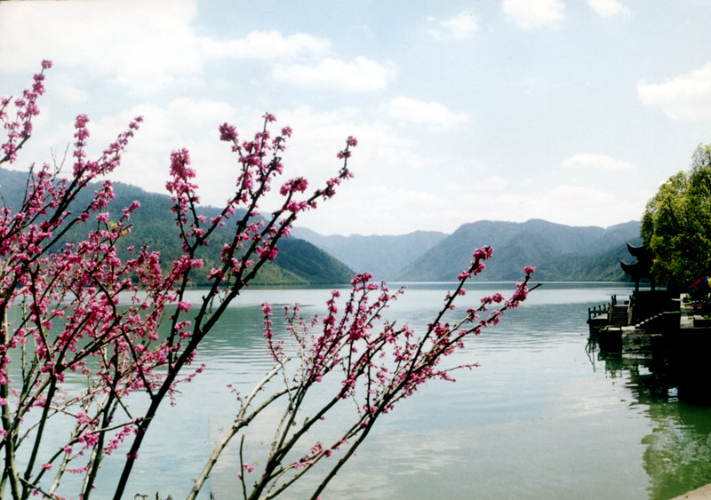 可燃?xì)怏w報(bào)警系統(tǒng)測試、泄漏探測器校準(zhǔn)服務(wù)公開詢價(jià)公告